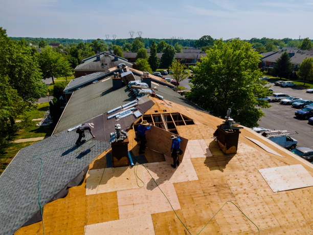 Best Storm Damage Roof Repair  in Prince George, VA